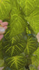 Fern Malla Necklace