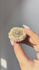 Regal Pearl Floral Ring