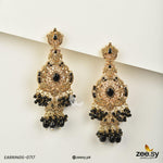 Load image into Gallery viewer, EARRINGS-0717