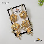 Load image into Gallery viewer, Earrings-0463